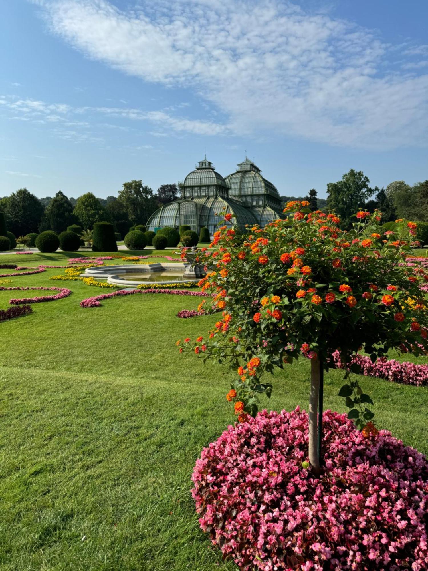 Nahe Schoenbrunn 13 * Vídeň